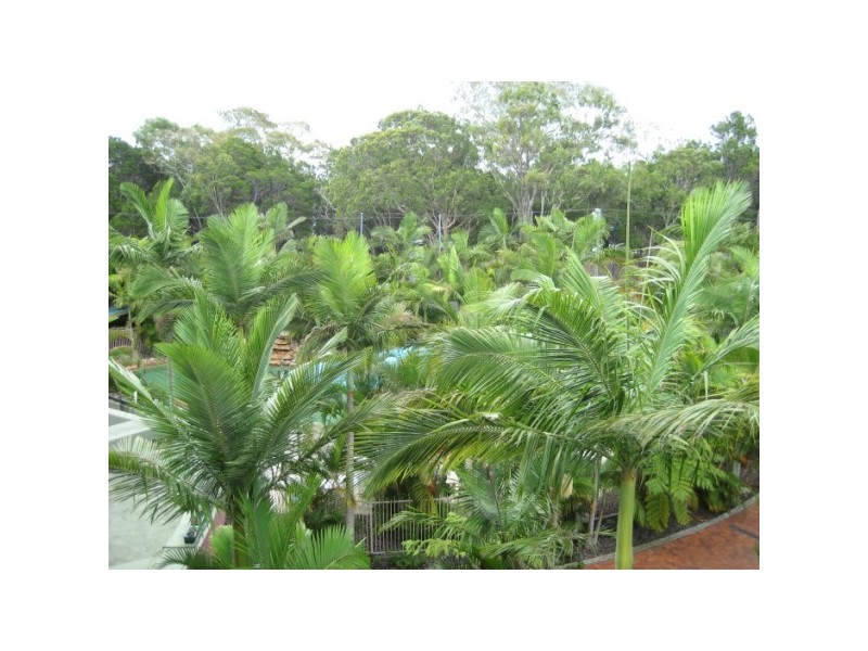 429/386 esplanade, Torquay QLD 4655