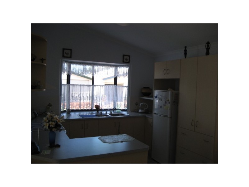 90 dolphin, Pialba QLD 4655