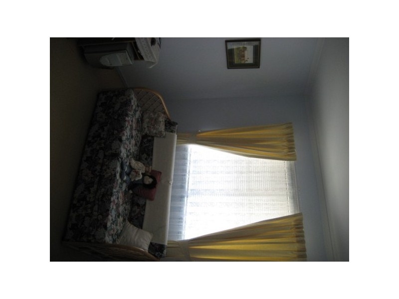 90 dolphin, Pialba QLD 4655