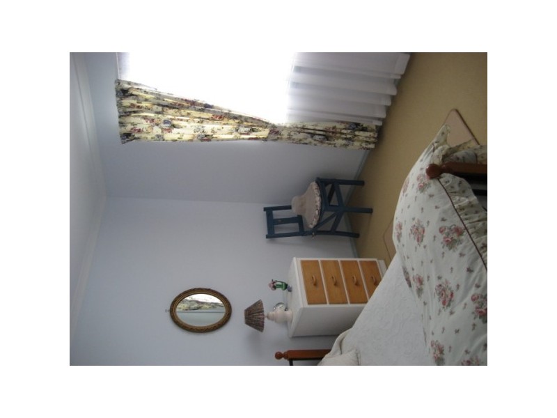 90 dolphin, Pialba QLD 4655