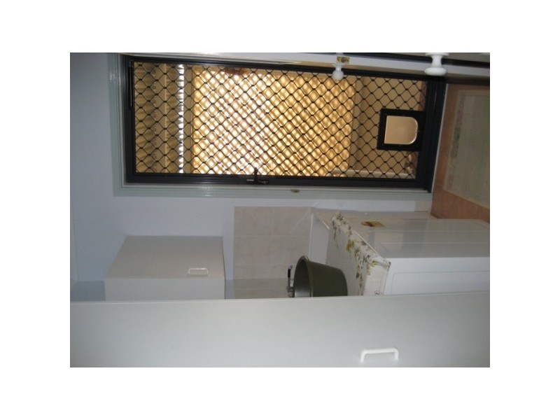 90 dolphin, Pialba QLD 4655