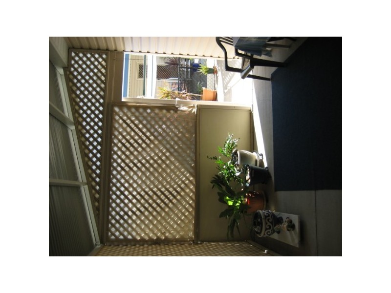 90 dolphin, Pialba QLD 4655