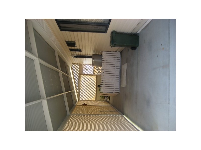 90 dolphin, Pialba QLD 4655