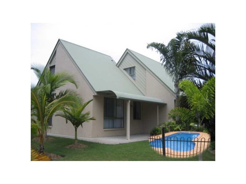 1 whimbrel, Eli Waters QLD 4655