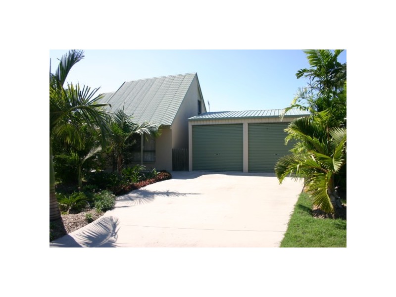 1 whimbrel, Eli Waters QLD 4655