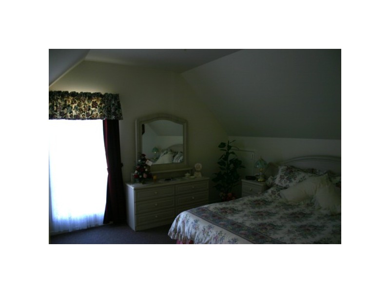 1 whimbrel, Eli Waters QLD 4655