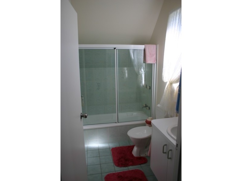 1 whimbrel, Eli Waters QLD 4655