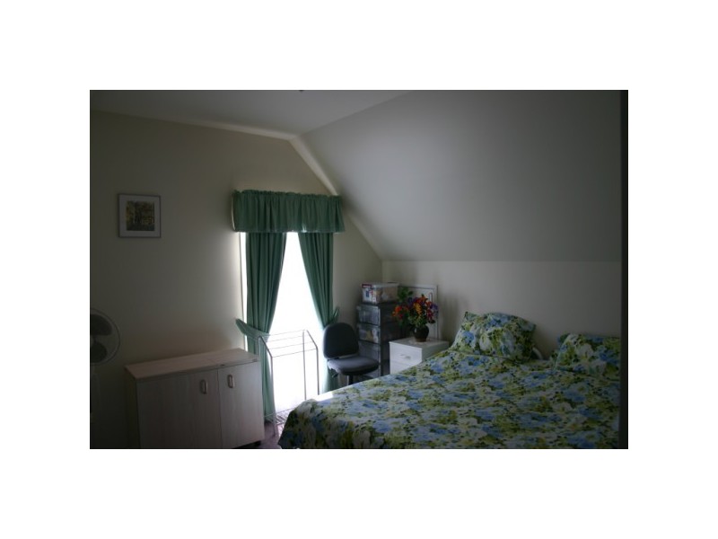 1 whimbrel, Eli Waters QLD 4655