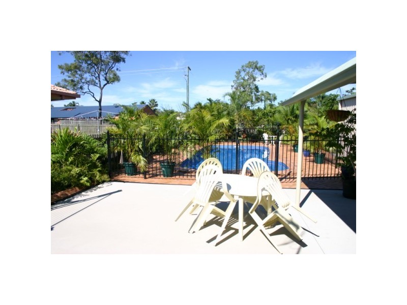 1 whimbrel, Eli Waters QLD 4655