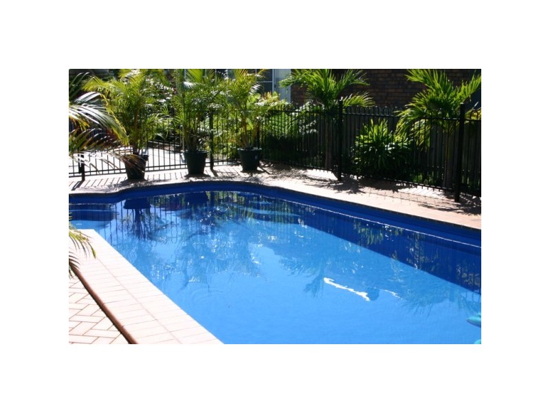 1 whimbrel, Eli Waters QLD 4655