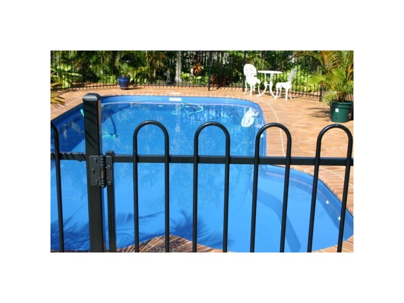 1 whimbrel, Eli Waters QLD 4655