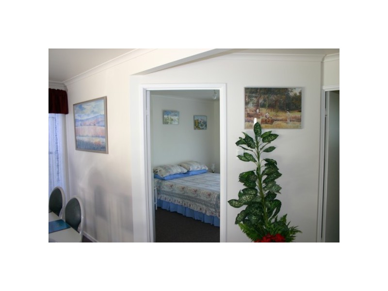 1 whimbrel, Eli Waters QLD 4655