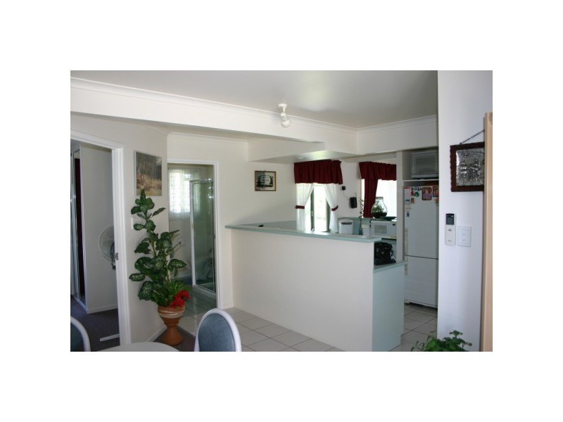 1 whimbrel, Eli Waters QLD 4655