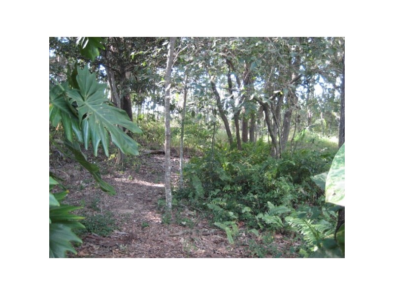 34 shellcot, Toogoom QLD 4655