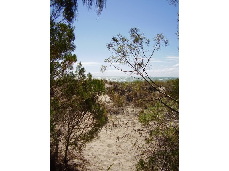 34 shellcot, Toogoom QLD 4655