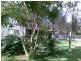 96 MELINDA ROAD, Torbanlea QLD 4662