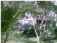 96 MELINDA ROAD, Torbanlea QLD 4662