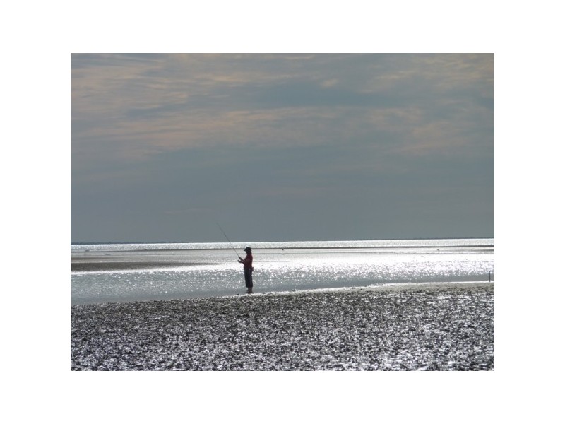 7 PARTRIDGE STREET, Torquay QLD 4655