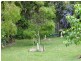 8 WILLIAM STREET, Urangan QLD 4655