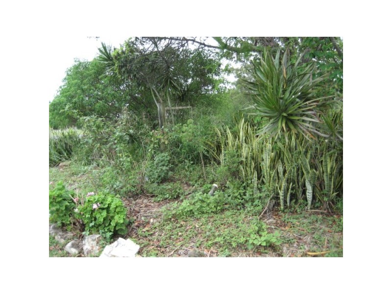 196 ESPLANADE,, Point Vernon QLD 4655