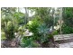 Eli Waters QLD 4655
