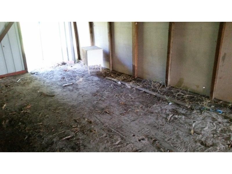 77 Cypress Street, Torquay QLD 4655