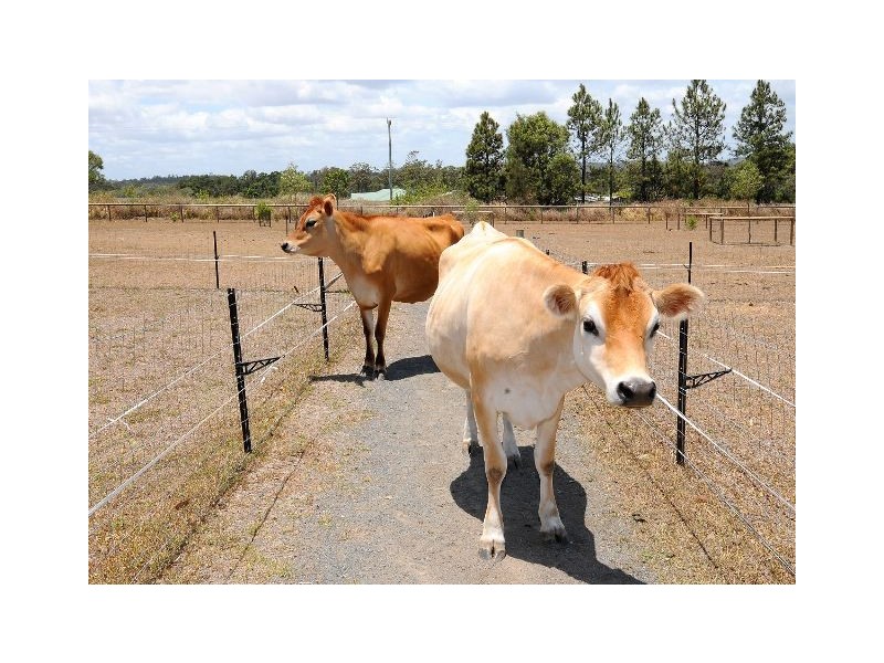 3 GRASWAY COURT, Craignish QLD 4655