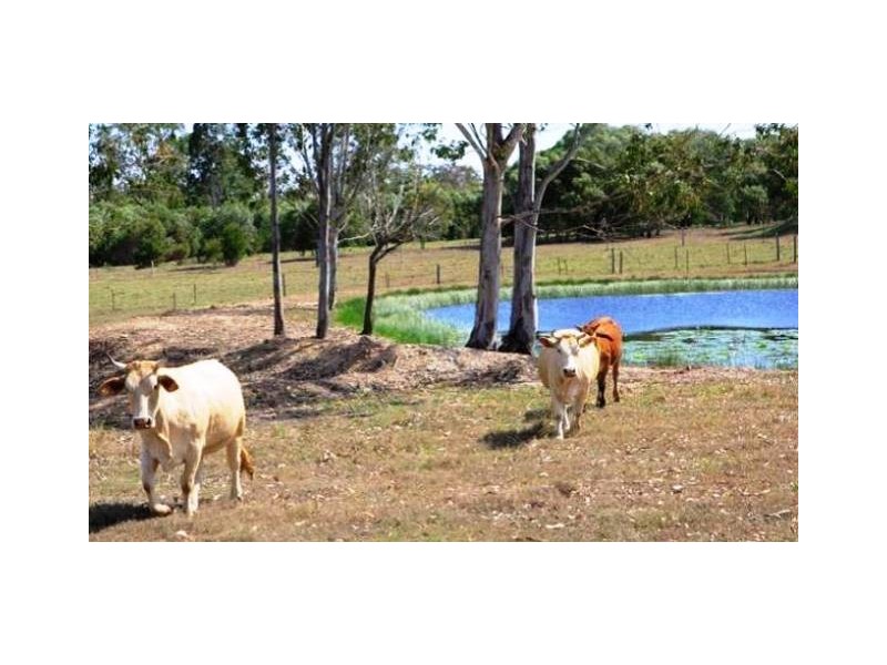 55 Beelbi Creek Road, Beelbi Creek QLD 4659