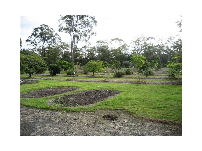 319 CONDOR DRIVE, Sunshine Acres QLD 4655