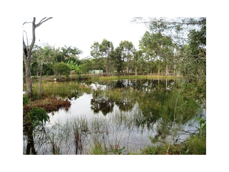 319 CONDOR DRIVE, Sunshine Acres QLD 4655