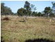 Lot 22 cnr Reserve and Dundowran Rds, Walligan QLD 4655