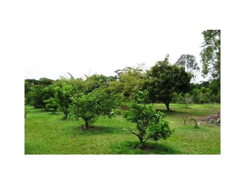 10 NOBBS ROAD, Beelbi Creek QLD 4659