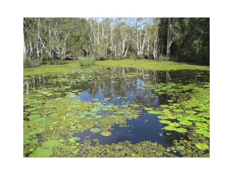 803 BOORAL ROAD, Bunya Creek QLD 4655