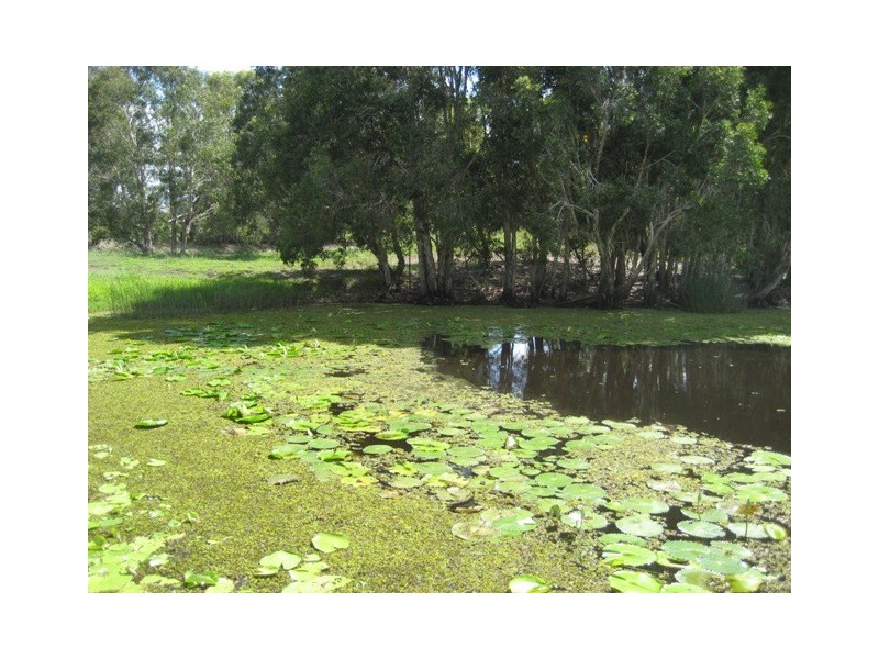 803 BOORAL ROAD, Bunya Creek QLD 4655