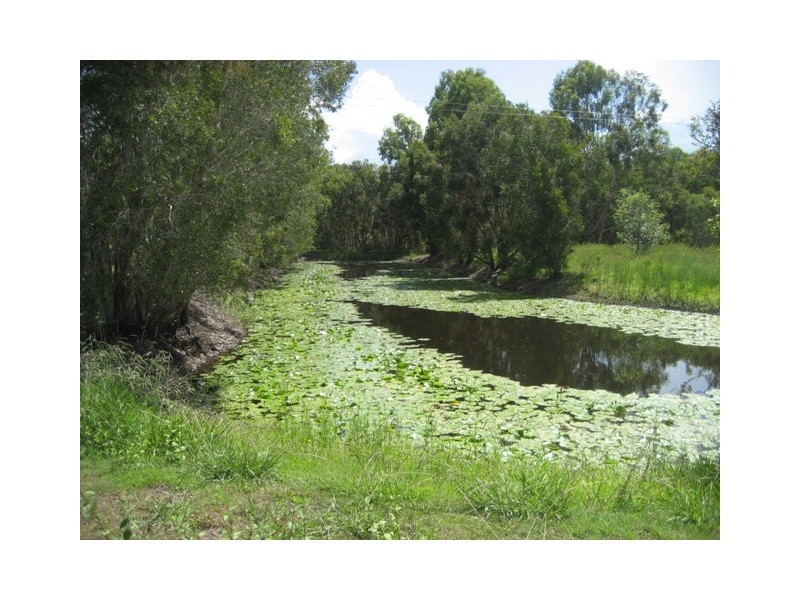 803 BOORAL ROAD, Bunya Creek QLD 4655