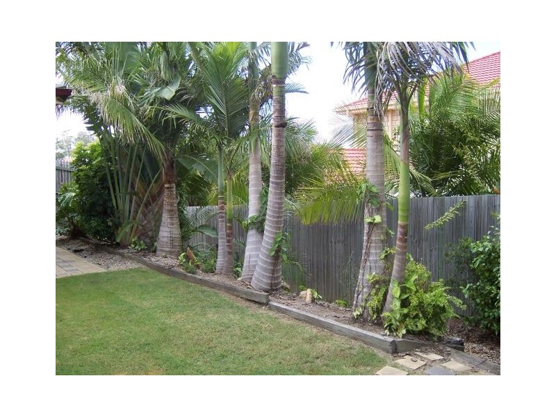 Mango Hill QLD 4509