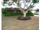 Murrumba Downs QLD 4503