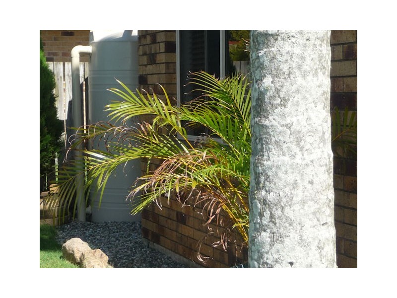 Murrumba Downs QLD 4503