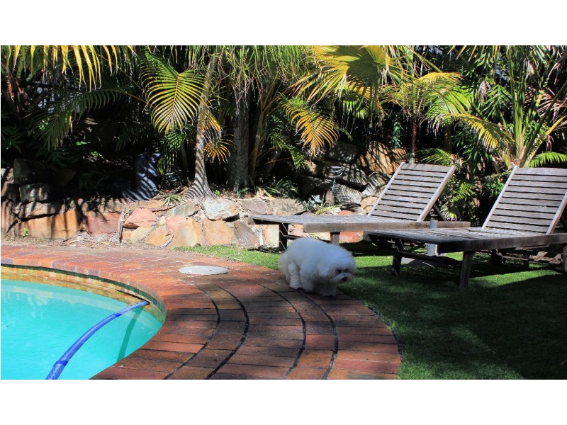 15 Barrine Ct, Petrie QLD 4502