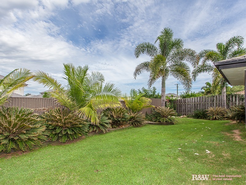 Griffin QLD 4503