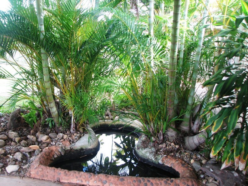 Waterford West QLD 4133