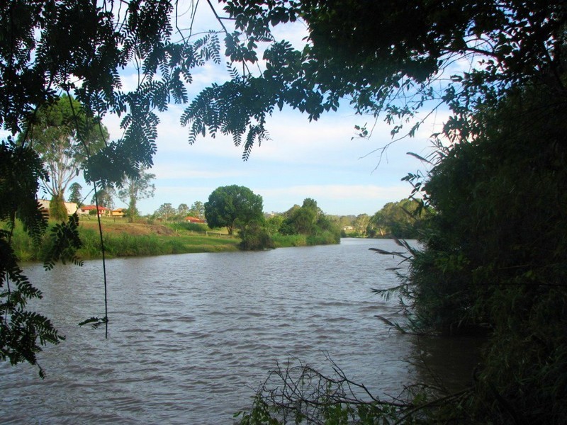 42 William, Waterford West QLD 4133