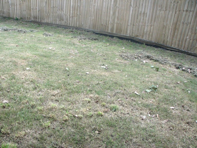 10  Moxey, Marsden QLD 4132