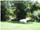 32 Therese Street, Marsden QLD 4132