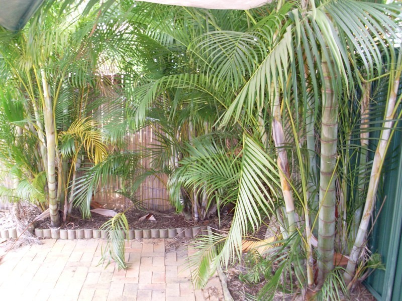 19/39 Bruce Road, Woodridge QLD 4114