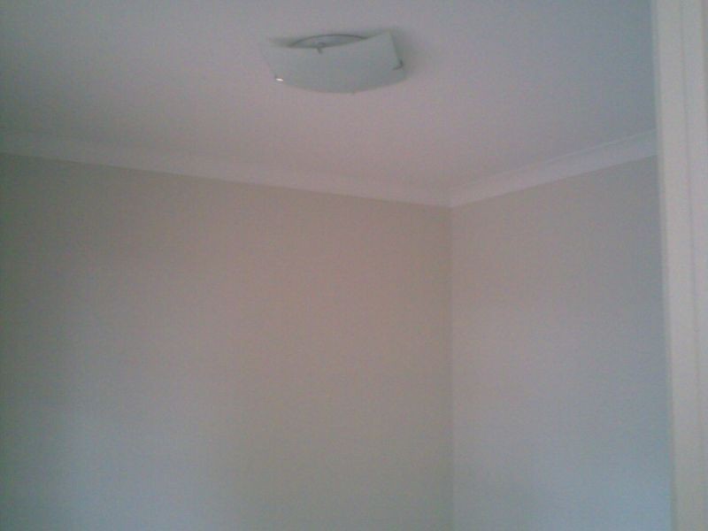 6 Snowberry Street, Sunnybank Hills QLD 4109