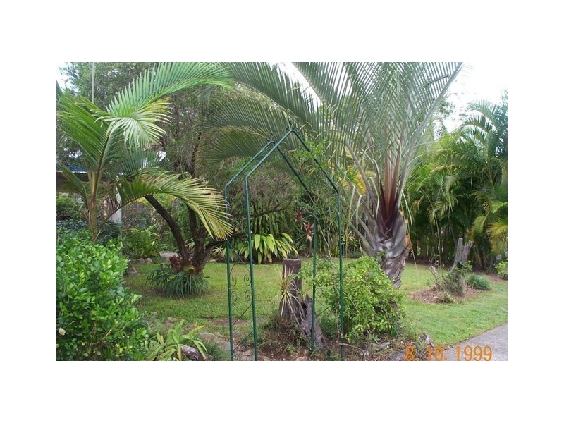 10 Bluegum Court, Kingston QLD 4114