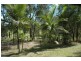 47 Wallaby Way, Pimpama QLD 4209