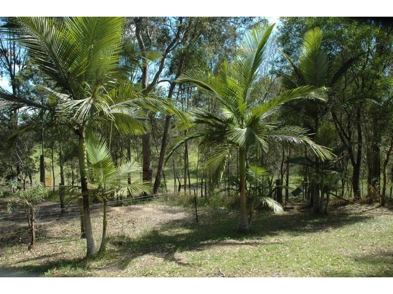 47 Wallaby Way, Pimpama QLD 4209