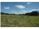 47 Wallaby Way, Pimpama QLD 4209